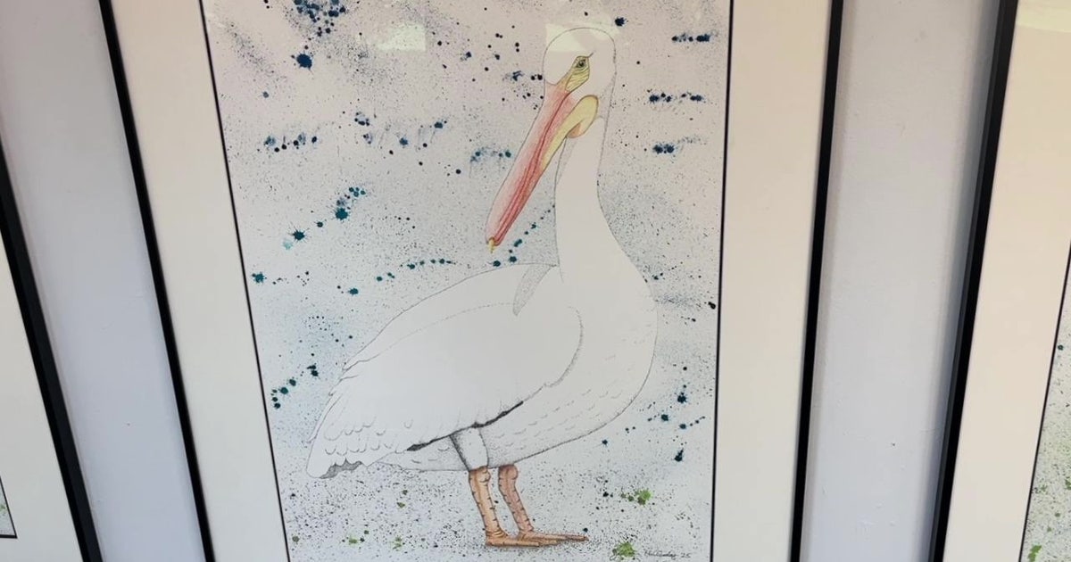 Bay Area artist brings unique bird exhibit to life in St. Pete | FOX 13 ...