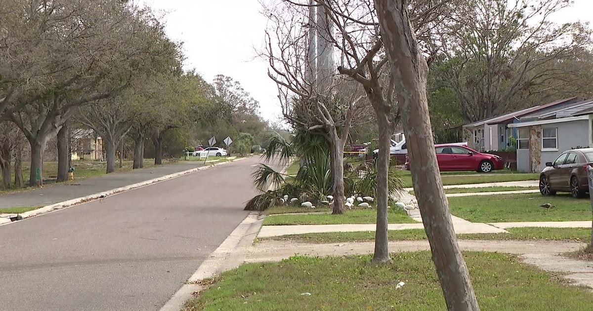 15-year-old boy shot while walking back into house: SPPD | FOX 13 Tampa Bay