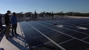 Tampa business goes solar with more 450 panels; a new trend of the Sunshine State