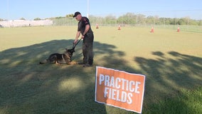 K-9 officers from across the southeast U.S. to showcase their skills in Lakeland Wednesday