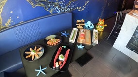 BluWave Sushi offers customizable food experience in South Tampa