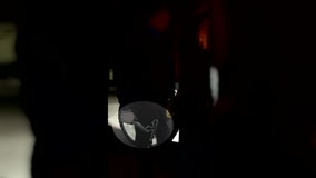 Sixth teenager arrested for brutal Davis Islands dog park attack