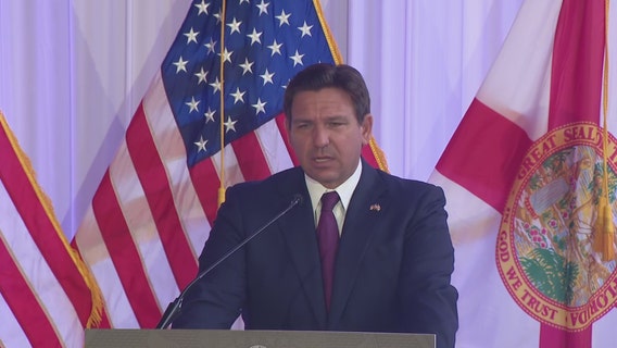 Governor DeSantis announces state DOGE task force focused on 'government efficiency'