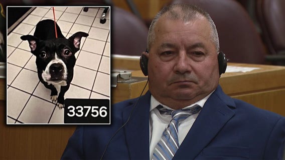 Man convicted in animal cruelty case that inspired 'Dexter's Law' granted bond during appeal