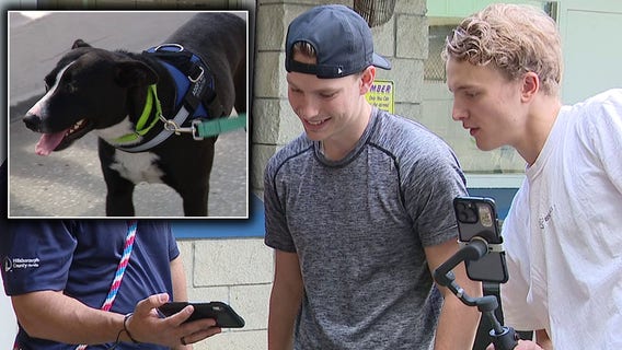 ‘The Dog Guys’: Best friends use social media to help shelter dogs find home