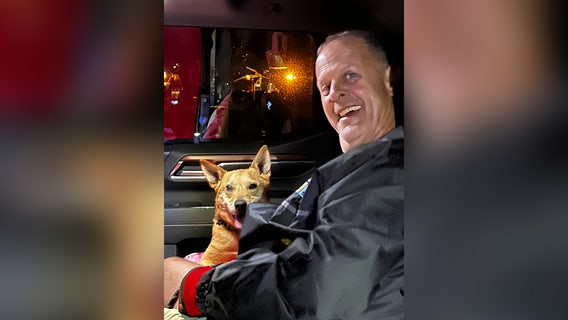 Florida couple reunited with dog after 17-day search