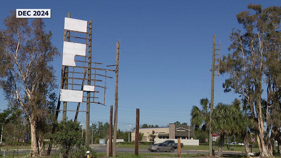 Big screen in Ruskin getting new lease on life