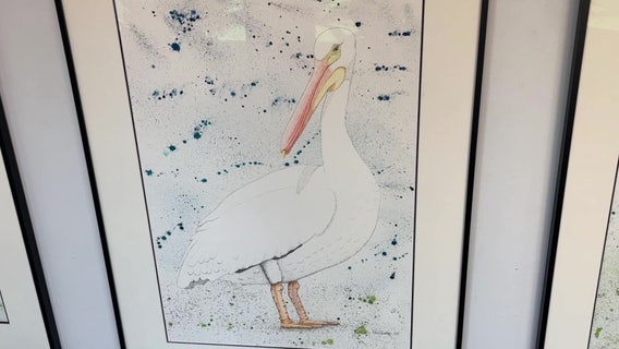 Bay Area artist brings unique bird exhibit to life in St. Pete