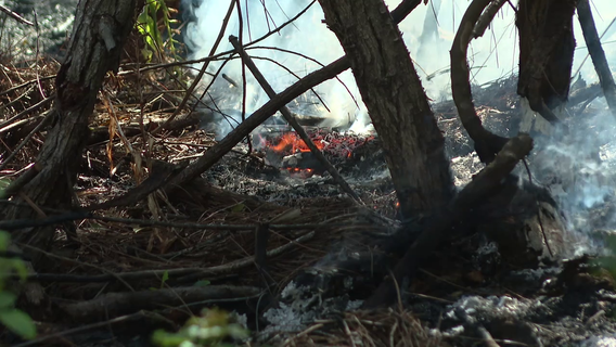North Port Fire-Rescue battles multiple brush fires as burn ban remains in effect