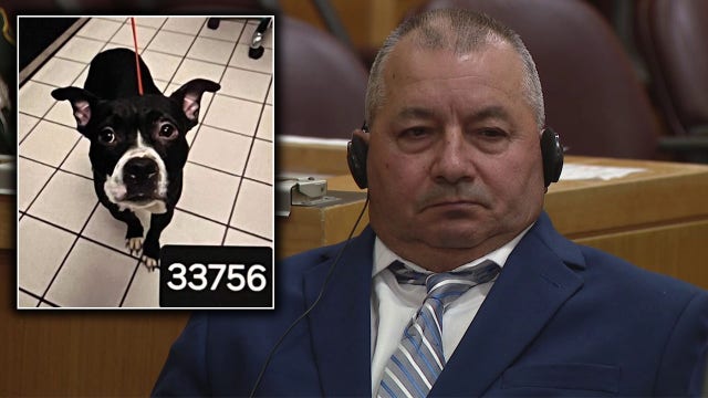 Man convicted in animal cruelty case that inspired 'Dexter's Law' granted bond during appeal