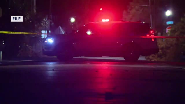 Florida hit-and-run crashes increase by 40% over last decade: Data