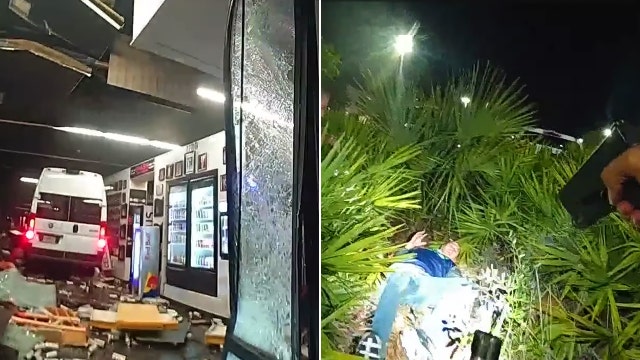 Video: Florida man caught by K9 after carjacking driver, crashing stolen van into gym, deputies say