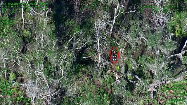 Video: Rescuers save lost hiker at state park in Hillsborough County