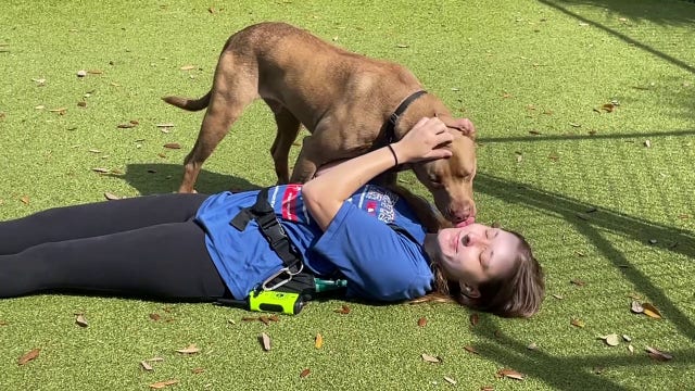 Humane Society of Sarasota County launches 'TAILS' program to make Florida 'no-kill' state