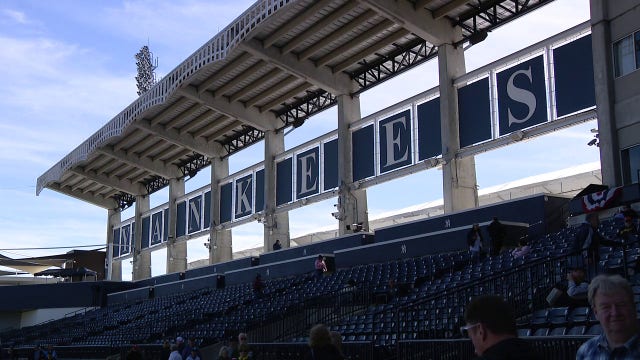 Yankees host the Rays at Steinbrenner in Rays regular season preview