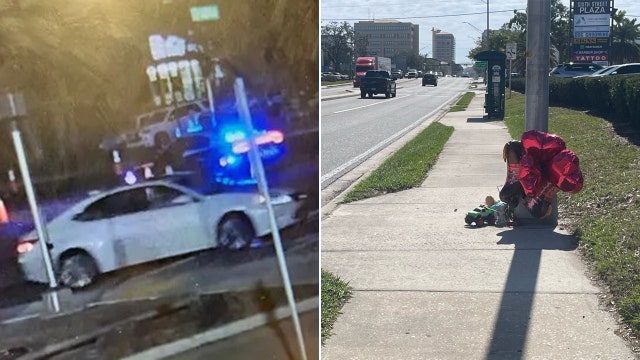 Elderly woman from Sarasota believed responsible for crash that killed 2 children, injured mother