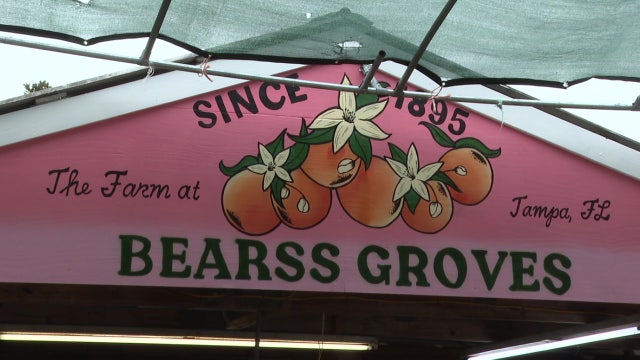 Beloved Bearss Groves Fruit Market reopens after hurricane damage forced closure