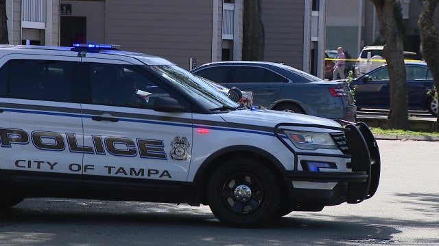 Convicted felon with violent history in custody after exchanging gunfire with Tampa police: TPD