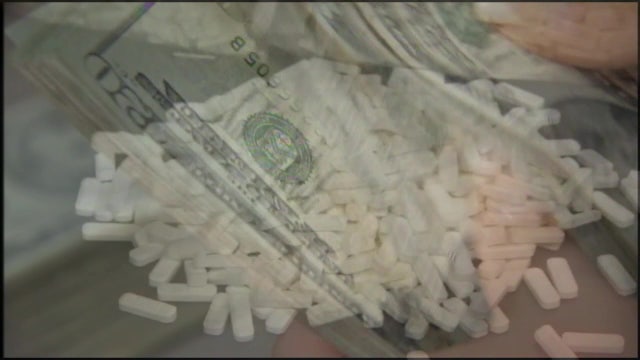 Addressing rising opioid deaths among seniors citizens in the Tampa Bay area