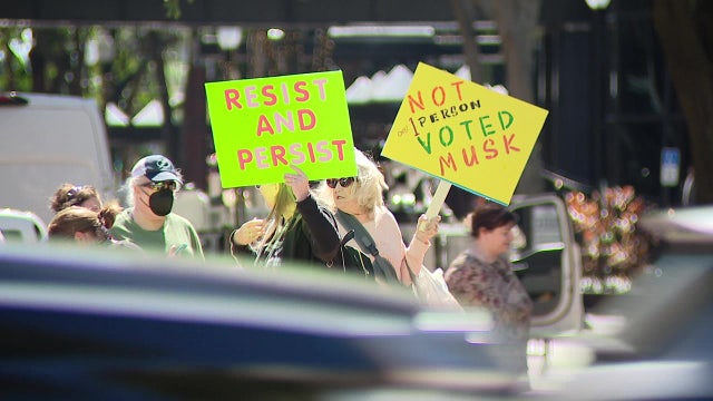 'Not My President' protests in downtown Tampa take aim at Trump Administration and Elon Musk