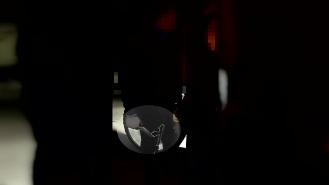 Sixth teenager arrested for brutal Davis Islands dog park attack