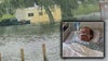 Plant City man rescued from Hurricane Milton floodwaters on life support after possible hit-and-run crash