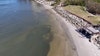 USF researchers among first to identify viruses linked to red tide, which could help predict future blooms