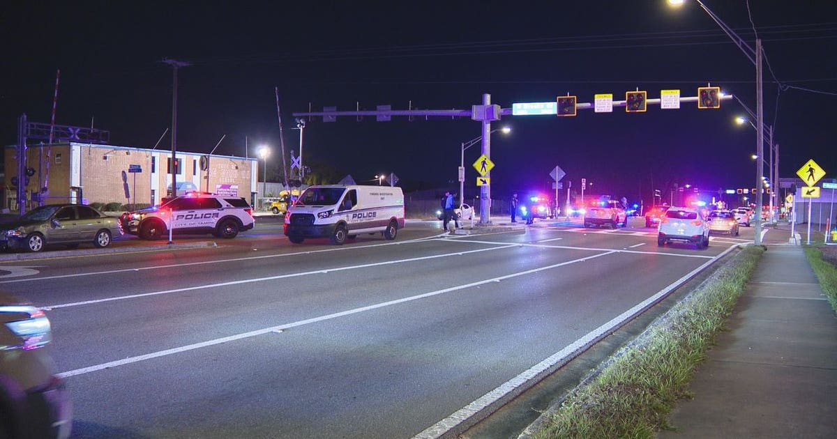 Man critically injured after being hit by car along Busch Blvd. in ...