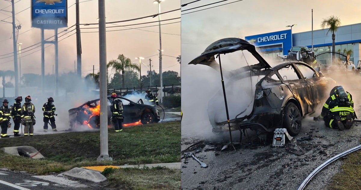 Tesla bursts into flames in front of Hudson Chevy dealer after driver ...