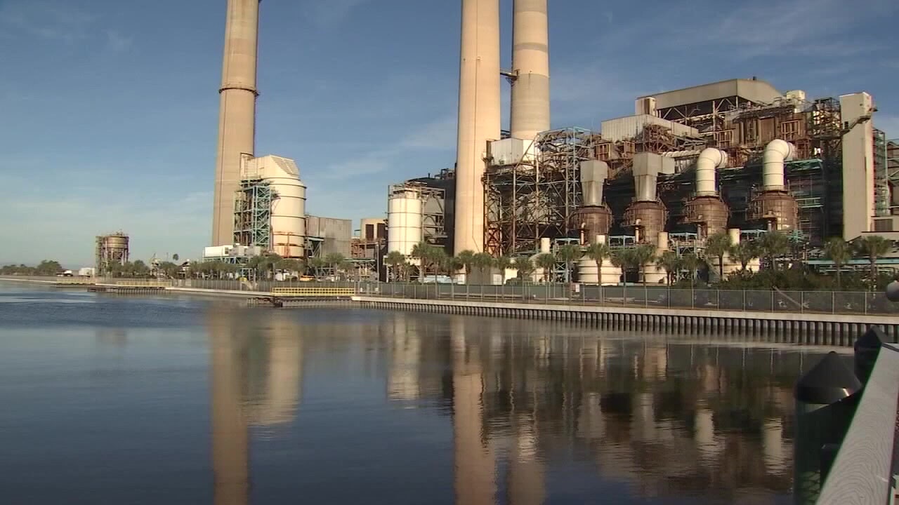 Consumer rights activists file appeals to Florida State Supreme Court over TECO price hikes Consumer rights activists file appeals to Florida State Supreme Court over TECO price hikes