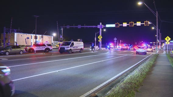 Man critically injured after being hit by car along Busch Blvd. in Tampa