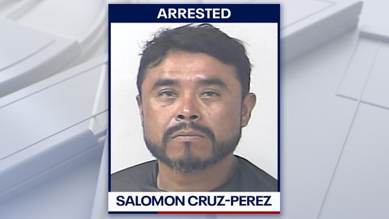 Florida man accused of killing 2 dogs by hanging them from trees: Deputies