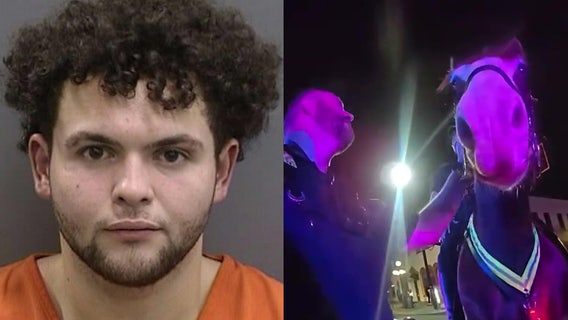 Video: Tampa police horse hit by suspect in Ybor City as bars were closing