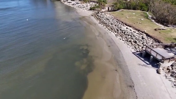 USF researchers among first to identify viruses linked to red tide, which could help predict future blooms