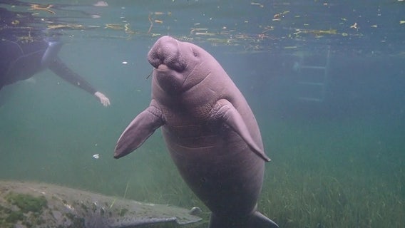 Bay Area town named one of the most charming in America by HGTV