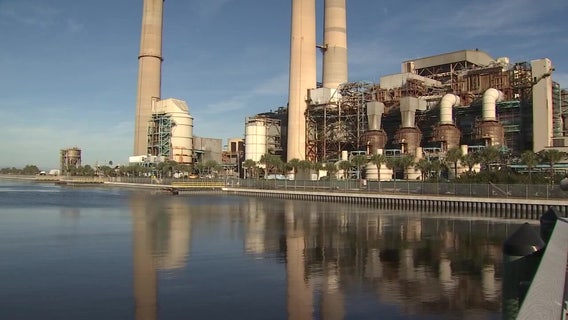 TECO rate hikes get backing