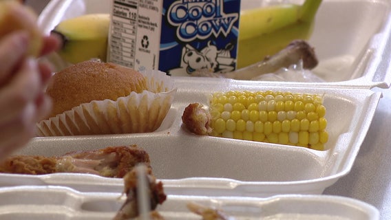Florida lawmaker pushes for healthier school lunches and banning processed food