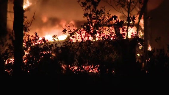 Wildfire season peak: Florida Forest Service reminds residents to be alert