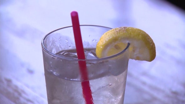 St. Pete City Council commits to not 'going backwards' on plastic straw ban