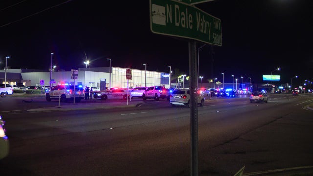 Woman, dog hit & killed on Dale Mabry Highway after driver stops to help animal: FHP