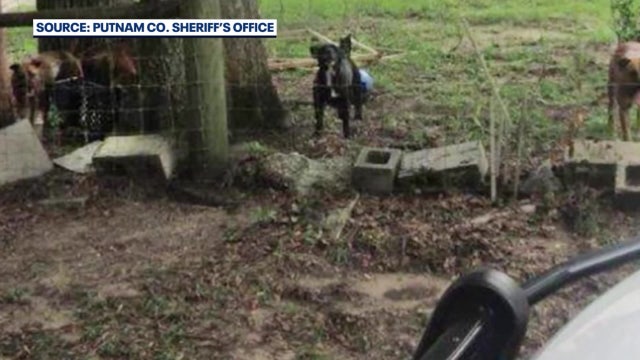 Florida House advances bill to create statewide 'dangerous dog' registry