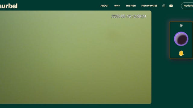 World's first 'Fish Doorbell' inspires millions to help Dutch city protect fish