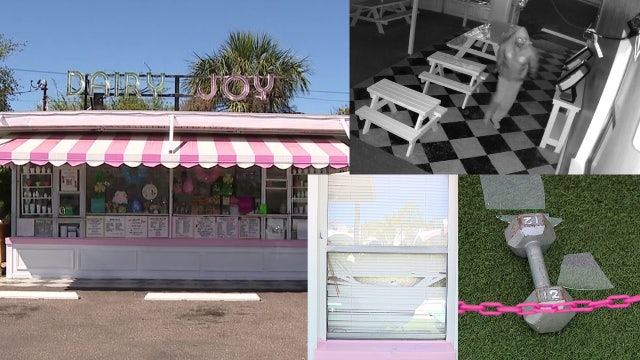 Video: South Tampa Dairy Joy has window shattered by dumbbell