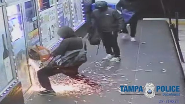 Video: Burglars use saw to break into store, Tampa police searching for suspects