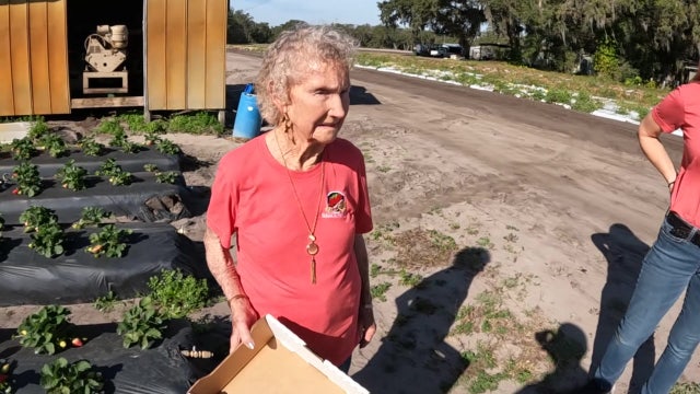 Dover strawberry farmer celebrated by community for dedication since 1964