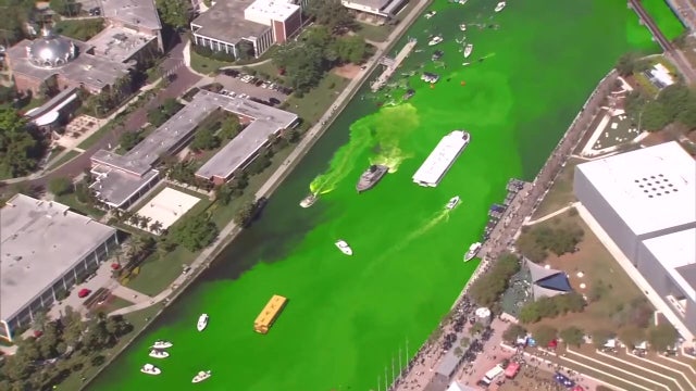 Annual River O' Green Fest brings thousands to Tampa