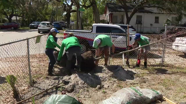 Temperatures expected to rise in Tampa after storms destroyed tree cover