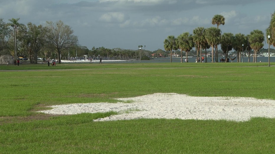 Pictured: Vinoy Park, the site of the St. Pete Country Fest in November 2025.