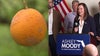 Sen. Ashley Moody aims to roll back 60s-era citrus regulation as growers face mounting challenges