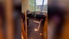 Doors left broken in FSU building after armed police clear rooms